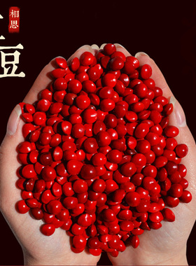 手链丹霞红豆文艺相思豆手链