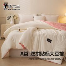 Woodpecker Home Textile A type of mother and baby grade new AB Double collared Labeled Soybean Quilt winter quilt core 8 catties
