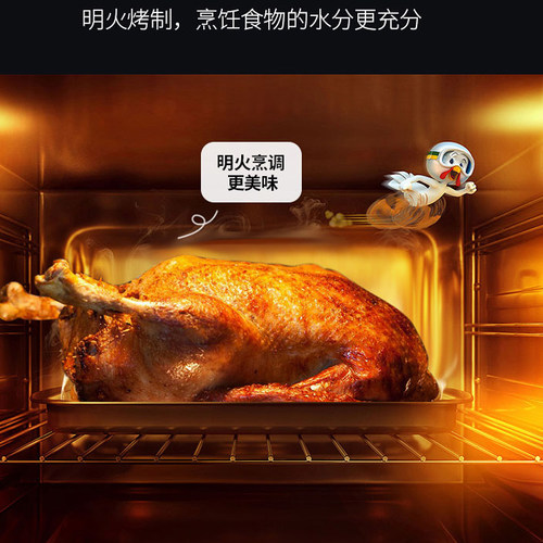 40L多功能户外野炊不锈钢燃气烤箱瓦斯燃气灶双头gas oven cooker - 图1