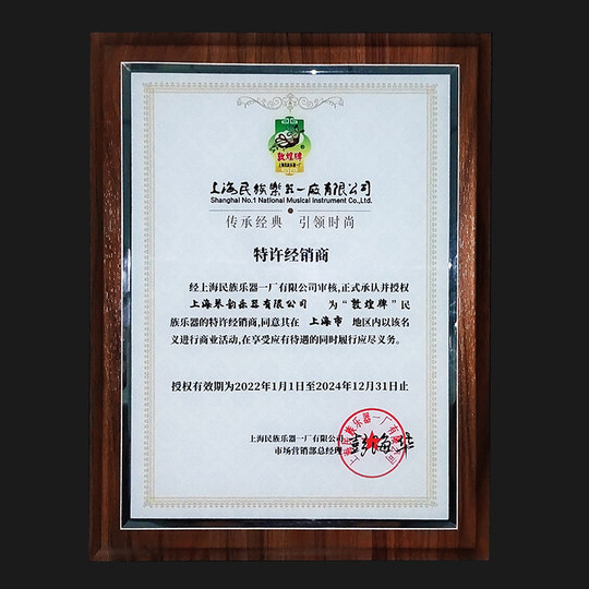 敦煌琵琶乐器597套装594花梨木儿童成人初学者入门考级官方旗舰店