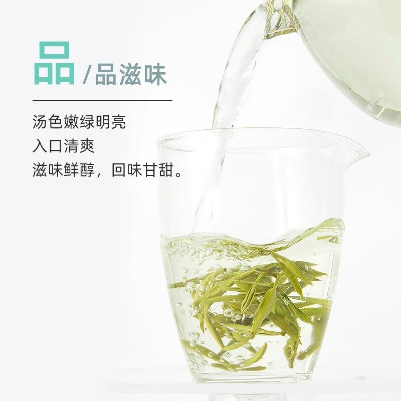 【U先试用9.9】明前特级龙井茶品鉴装6g绿茶茶叶,淘宝优惠券,粉丝福利购,淘宝优惠卷