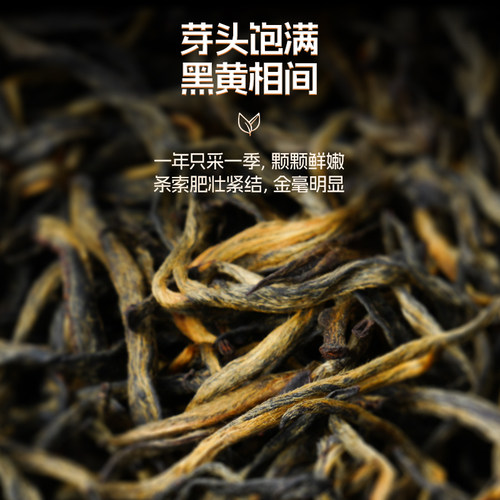 【武夷山桐木关】卢正浩金骏眉高端红茶茶叶特级官方旗舰店正品 - 图1
