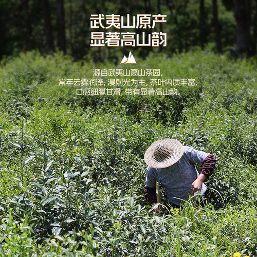 【武夷山桐木关】卢正浩金骏眉高端红茶茶叶特级官方旗舰店正品 - 图3