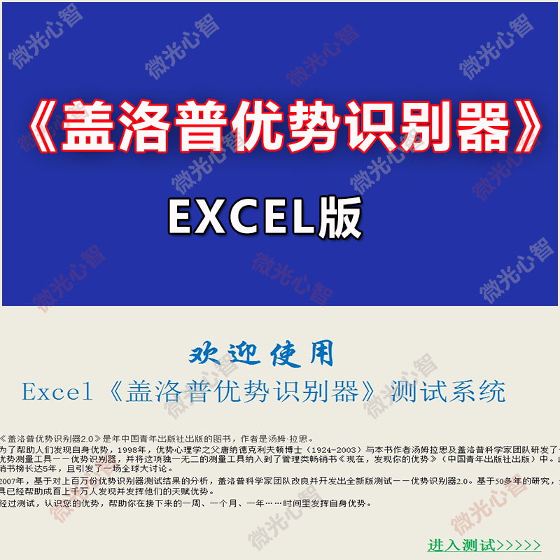 Excel版盖洛普优势识别器优势测试2.0版性格测试（赠电子书）-图2