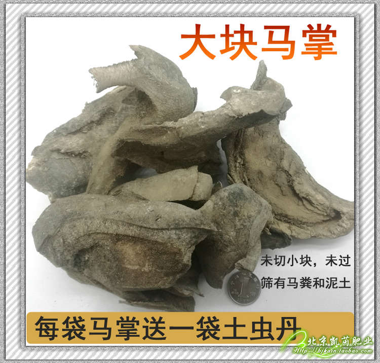 马掌马蹄片蛋白质缓释有机肥料长效花肥养花月季底肥追肥500克 凯茵肥业 淘优券