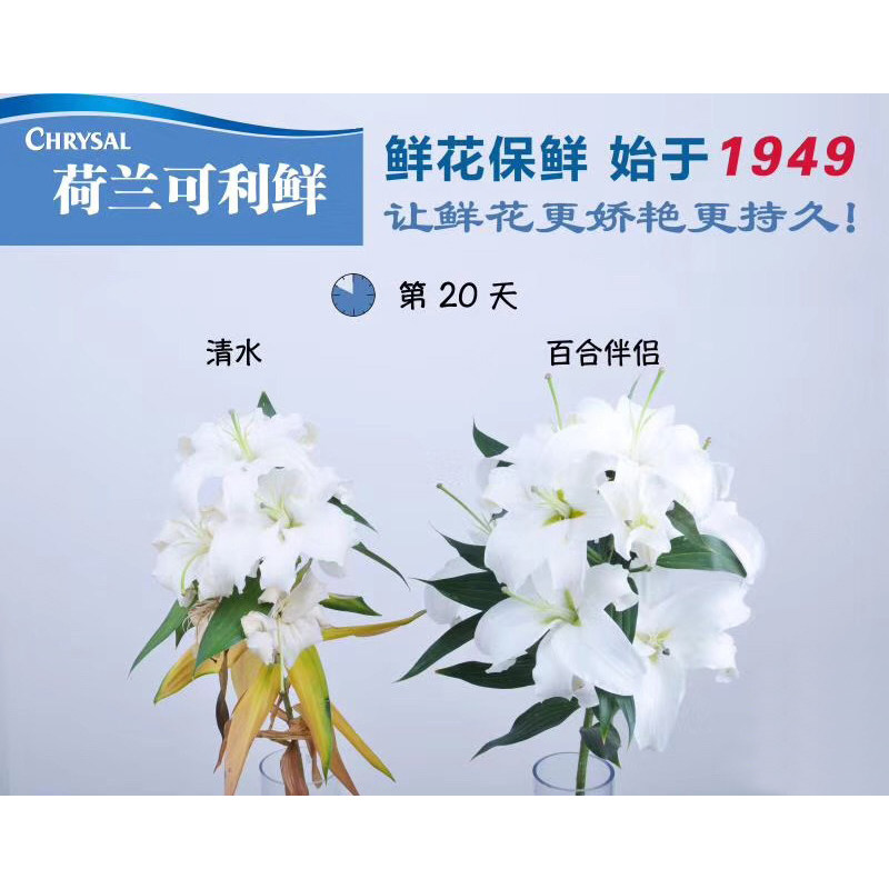 可利鲜 百合花保鲜剂 百合型郁金香 芍药 洋牡丹 保鲜剂 百合伴侣,淘宝优惠券,粉丝福利购,淘宝优惠卷