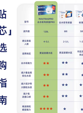 碧然德过滤净水壶自来水净水器