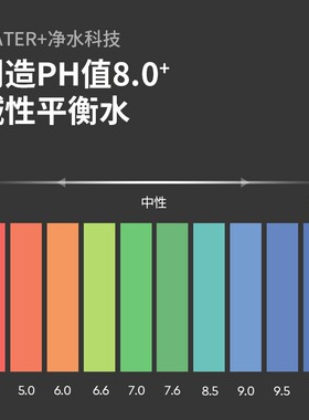 BWT倍世滤水壶滤芯净水壶滤芯