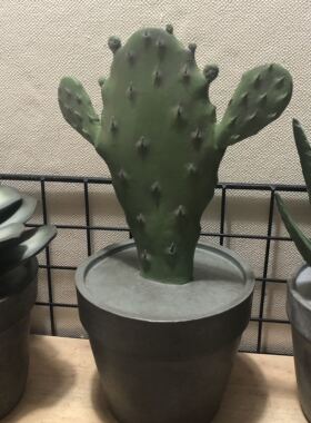 美式乡村田园风多肉植物盆栽摆件