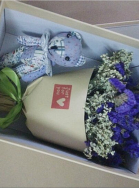 满天星勿忘我干花束雨田草木