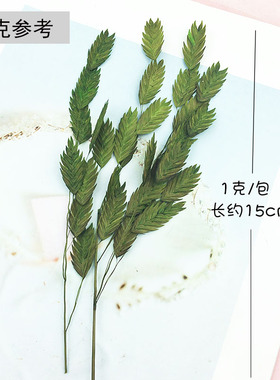 diy风动草小清新花束小盼草装饰