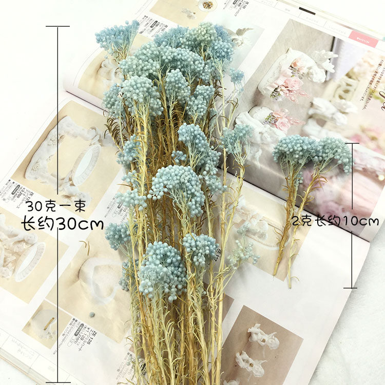 永生花干花小米花母亲情人节diy花束礼盒新年材料包结婚团扇配花