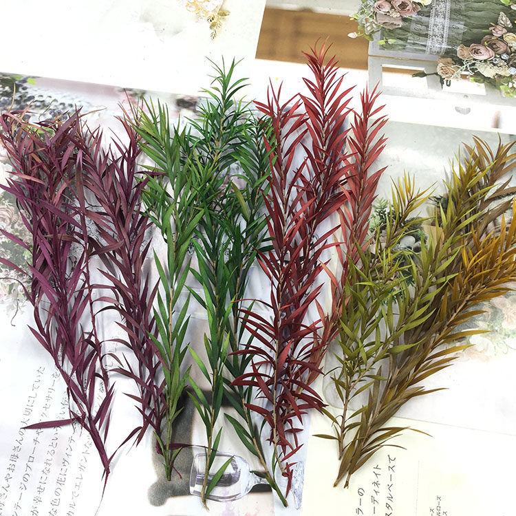 情人节花束礼盒永生花千层金万层叶diy手腕花保鲜玫瑰绿植配叶材