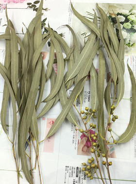 尤加利插花瓶干花细叶米果
