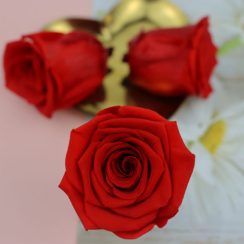 永生花4cm保鲜真花diy婚礼情人节礼盒手工玫瑰花熊花材料生日礼物