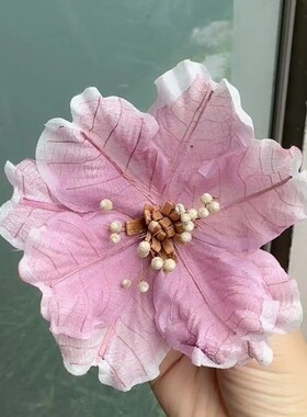 进口木兰花通草干花家庭瓶插花花束居家装饰拍摄道具永久