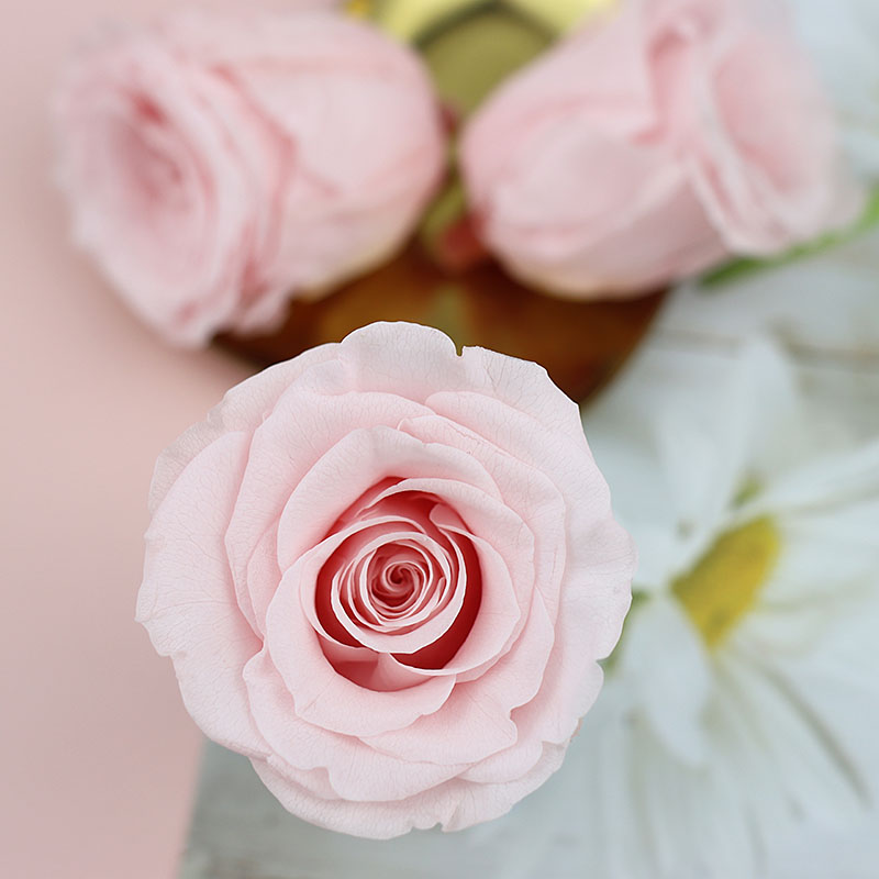 永生花4cm保鲜真花diy婚礼情人节礼盒手工玫瑰花熊花材料生日礼物