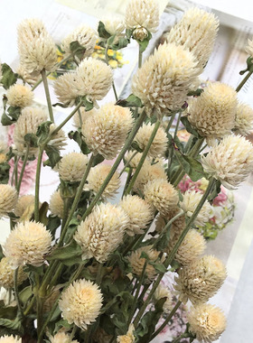 永生花配材千日红diy手工香薰蜡