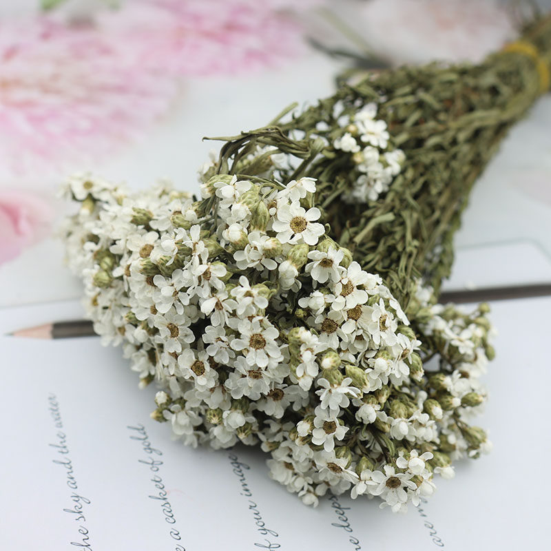 520永生花黛西白梅保鲜小雏菊婚礼鞋盒花束diy情人节新年礼盒配材