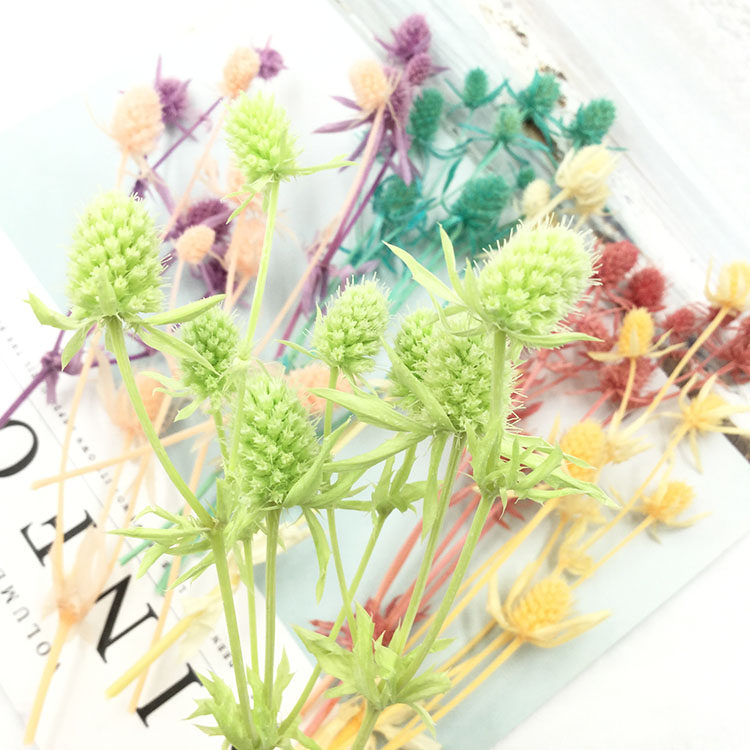 永生花小刺芹情人果玻璃罩diy新年摆台材料包婚礼花材ins北欧插花,淘宝优惠券,粉丝福利购,淘宝优惠卷