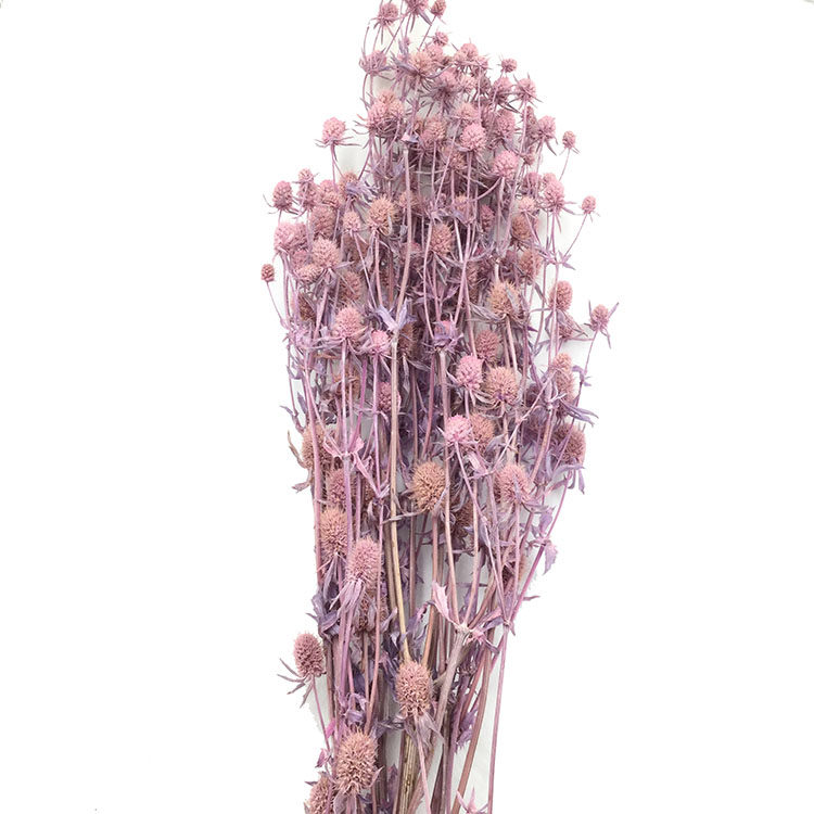 永生花小刺芹情人果玻璃罩diy新年摆台材料包婚礼花材ins北欧插花,淘宝优惠券,粉丝福利购,淘宝优惠卷