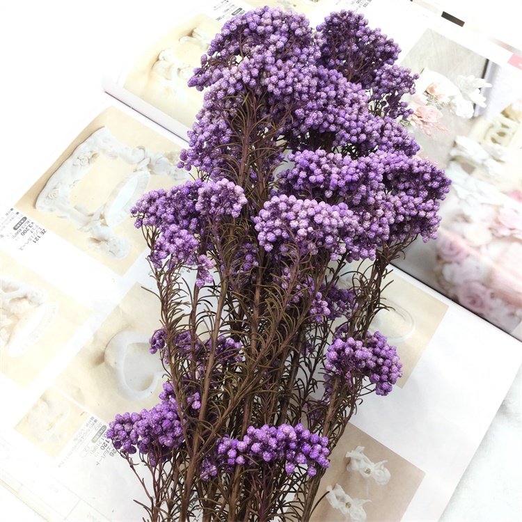 永生花干花小米花母亲情人节diy花束礼盒新年材料包结婚团扇配花