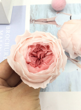 DIY鞋盒材料包奥斯汀永生花
