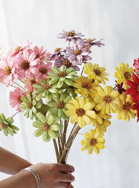 花掌柜拼接瓜子花海葵花插花