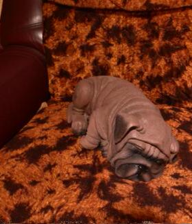 沙皮狗摆件仿真雕塑狗狗家居桌面摆件