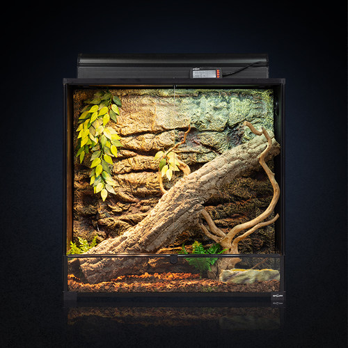 新派Reptizoo树栖爬宠饲养箱变色龙睫角守宫鬓狮蜥蜴雨林爬缸造景 - 图2