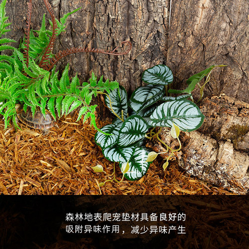 新派reptizoo爬宠森林地表树皮垫材陆龟蜥蜴守宫蛇造景除臭保湿 - 图2