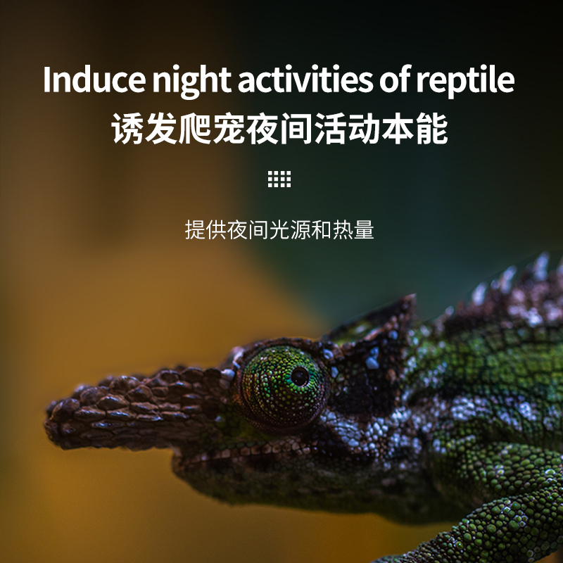 新派reptizoo爬宠夜灯uva加热灯刺猬芦丁鸡蜥蜴龟爬缸夜间加温灯 - 图3