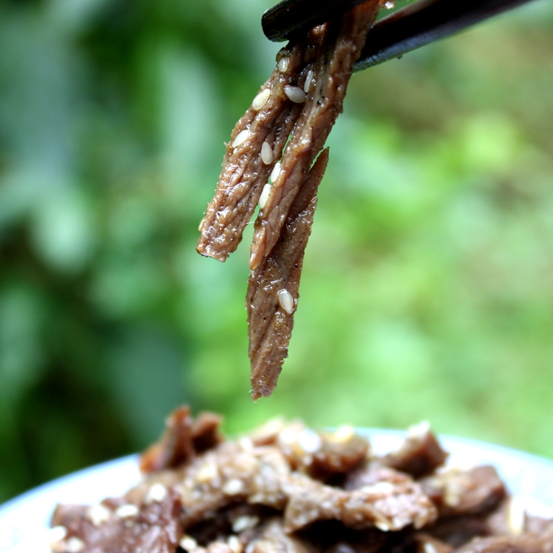 鲜牛肉鲜制五香牛肉干105克自贡冷吃下酒菜卤肉类熟食真空包装-图0