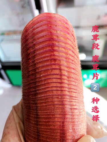 鹿茸整枝鲜鹿茸片血新鲜头茬正品吉林梅花鹿泡酒药材鹿鞭带血支只 - 图0