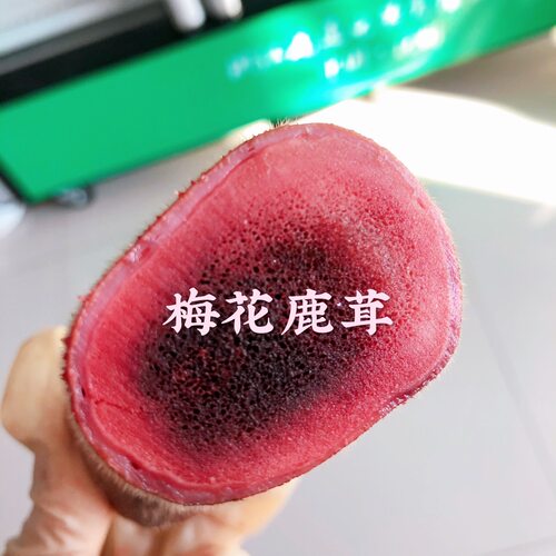 鹿茸整枝鲜鹿茸片血新鲜头茬正品吉林梅花鹿泡酒药材鹿鞭带血支只 - 图1