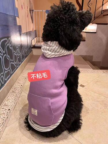 【DOG DEPT小狗衣服】太空棉薄款凉爽休闲帽衫连身蛋糕裙情侣款-图2