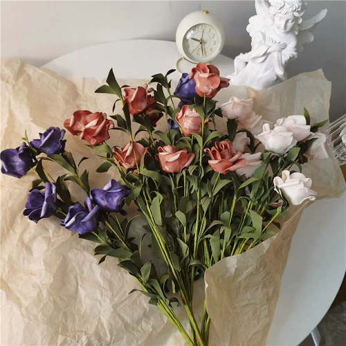 * Красивая маленькая тетя* Инс Ханфенг Плака