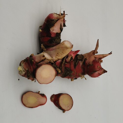 新鲜南姜山姜 galangal 冬阴功汤潮汕牛肉火锅配料农产品 包邮 - 图0