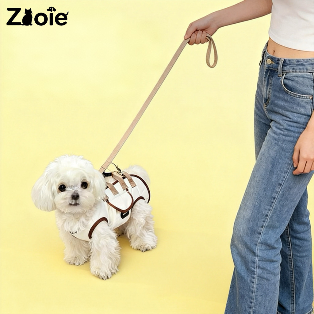 外出宠物包小型犬便携可斜跨手提包单肩包宠物外带包多功能宠物包,淘宝优惠券,粉丝福利购,淘宝优惠卷