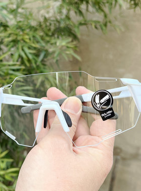 欧美防风护目镜太阳眼镜