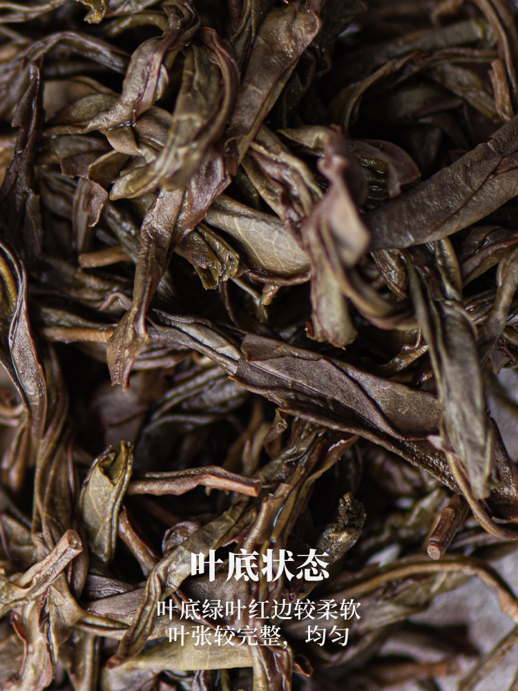 弄子里 2022年春茶单丛蜜兰-酣畅50g 丛龄50年 凤凰单丛 - 图1