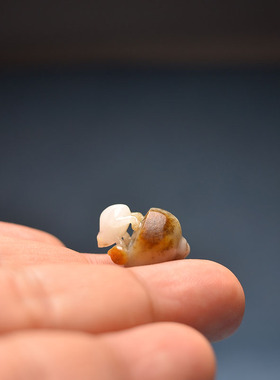 黑皮白玉独籽金蟾莲蓬吊坠小提溜