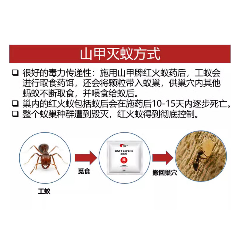 红火蚁药大面积杀农用田花园菜火蚁专杀剂全窝户外端灭咬人蚂蚁 - 图1