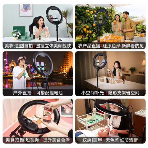 金贝LR480II环形补光灯led手机直播带货支架柔光面光灯主播专用抖音自拍拍照美颜灯桌面美妆纹绣摄影拍摄打光 - 图3