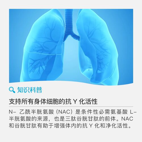 美国原装进口NAC营养补充剂60粒装正品现货速发 - 图0