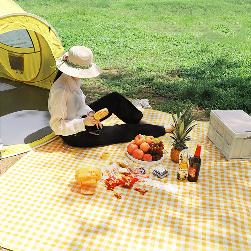 一次性户外野餐布防水加厚塑料郊游桌布烧烤野营台布ins风 野餐垫 - 图0