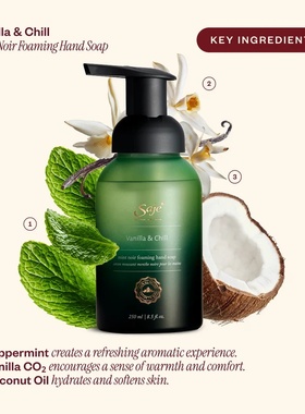 加拿大Saje莎爵VANILLA&CHILL ESCAPE香草放松精油洗手液2X250ml