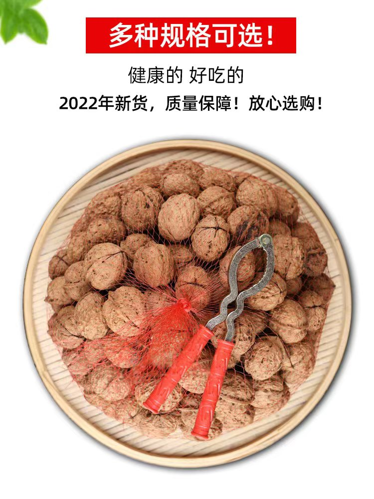 新疆185纸皮核桃2023新货每日坚果阿克苏薄皮大颗干果手捏原味袋 - 图3