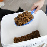 Густая кошачья ложка кошачья кошка