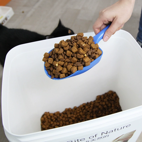 Густая кошачья ложка кошачья кошка